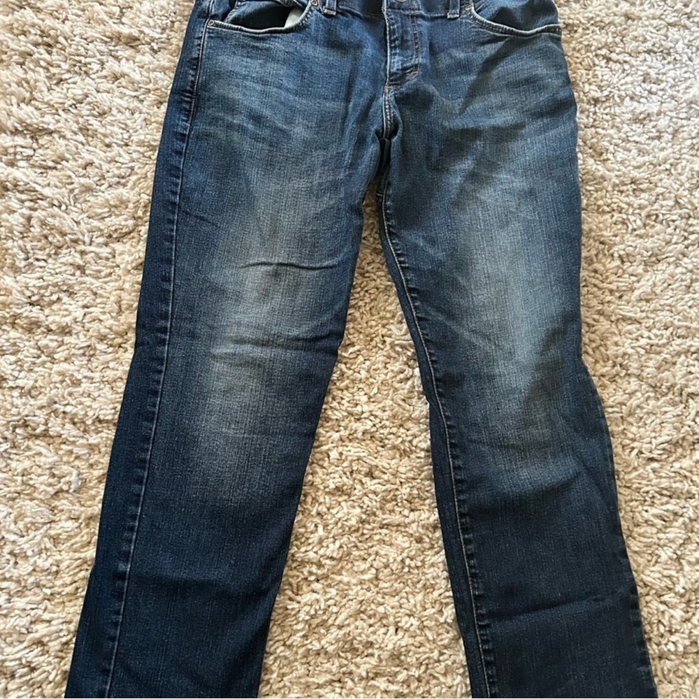 Lee Men's Straight Fit Blue Jeans